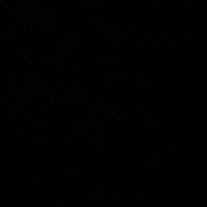 Meet your Posher, Caleb